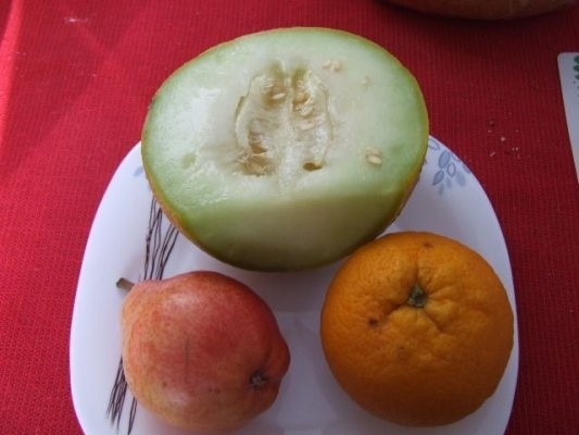 Salata rapida de fructe