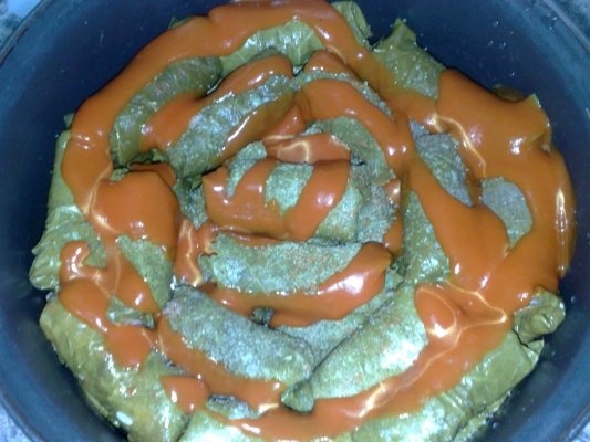 SARMALUTE IN FOI DE VITZA