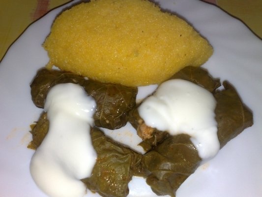 SARMALUTE IN FOI DE VITZA