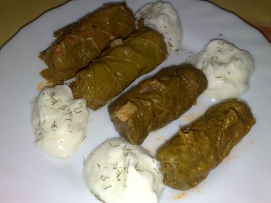 SARMALUTE IN FOI DE VITZA