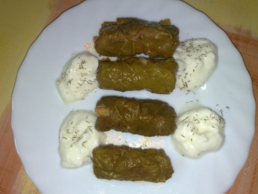 SARMALUTE IN FOI DE VITZA