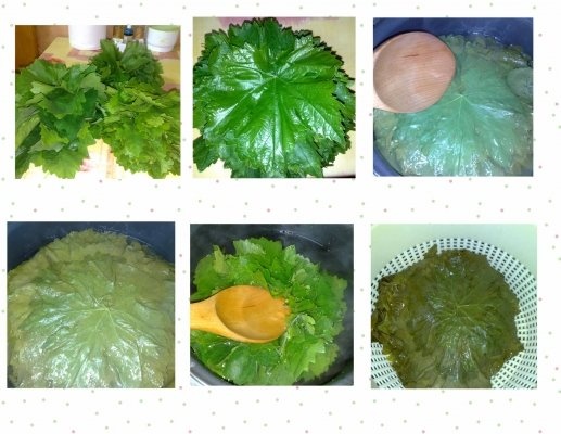 SARMALUTE IN FOI DE VITZA