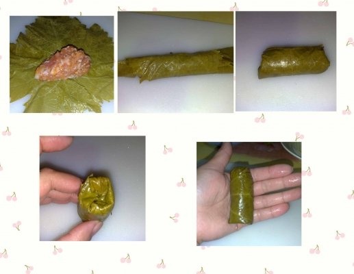 SARMALUTE IN FOI DE VITZA