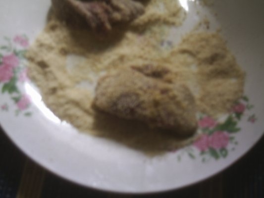 FICATEI DE PASARE PANE