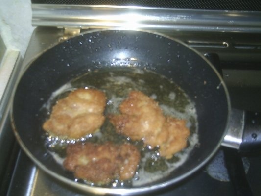 FICATEI DE PASARE PANE