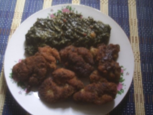 FICATEI DE PASARE PANE