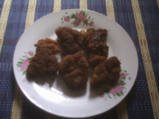 FICATEI DE PASARE PANE