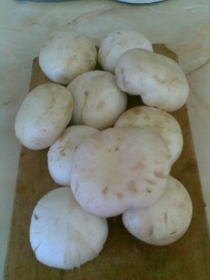 PAPPARDELLE CU SOS DE SPANAC