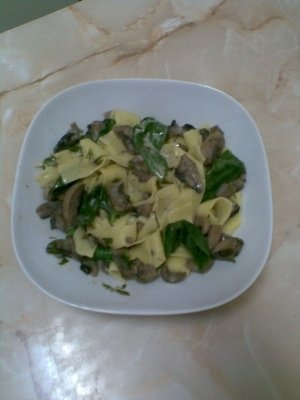 PAPPARDELLE CU SOS DE SPANAC