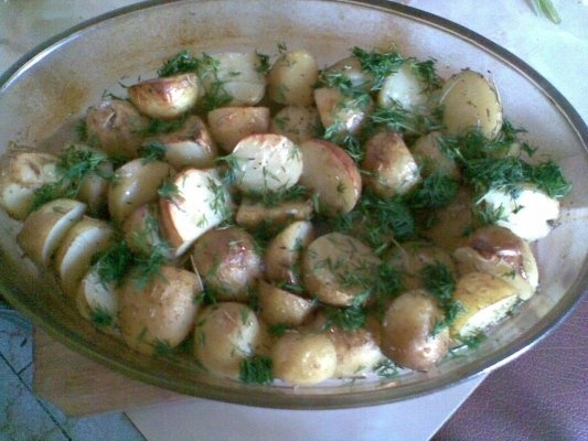 CARTOFI NOI LA CUPTOR CU ROZMARIN SI MARAR