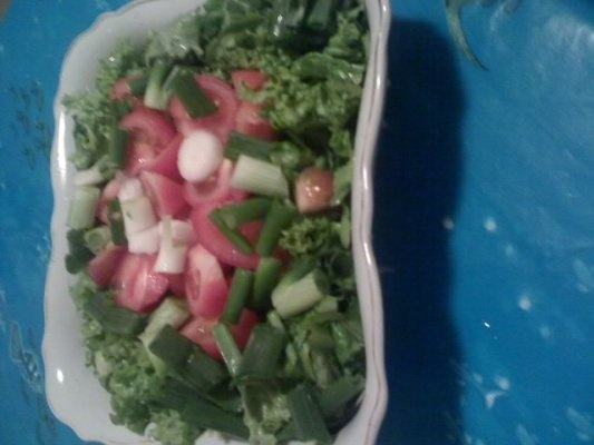 Salata verde knorrica