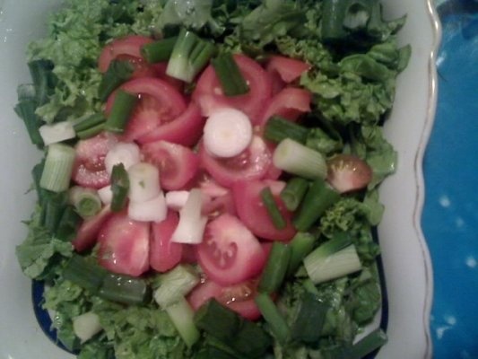 Salata verde knorrica