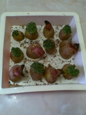 APERITIV DIN CARTOFI NOI