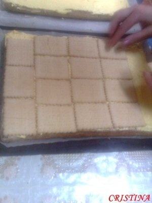 Prajitura cu mac si cocos