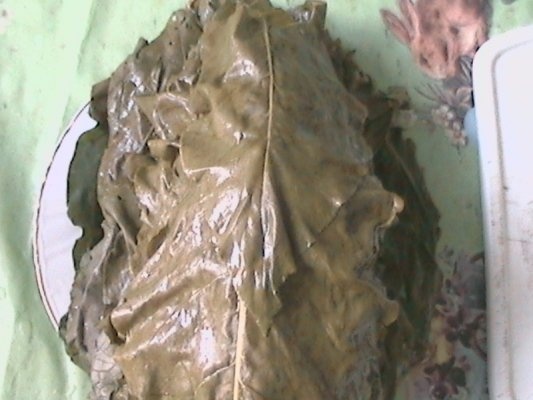 Sarmale in foi de stevie