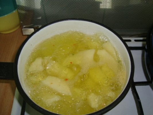 PESTE LA CUPTOR CU CARTOFI PRAJITI