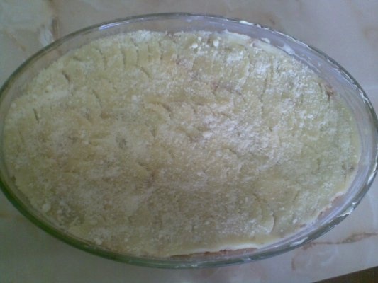 PLACINTA DE CARNE CU CARTOFI SI PASTARNAC