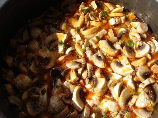 TOCANITA DE CIUPERCI