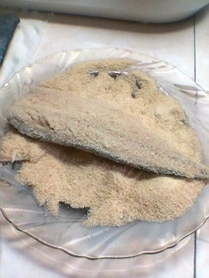 Peste cu sos de smantana