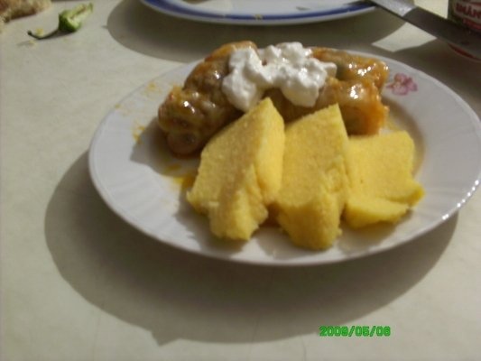 Sarmale din carne de pasare si vita