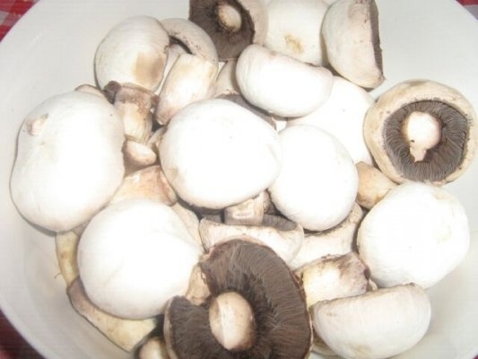 Ciuperci cu smantana si patrunjel