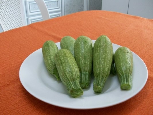 Dovlecei  umpluti si sarmalute din frunze de vita de vie(specific arab)