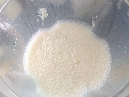 Flan de queso (flan de branza)