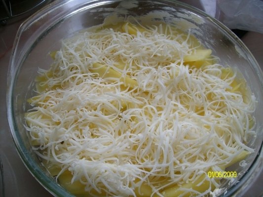 Piept de pui cu mango