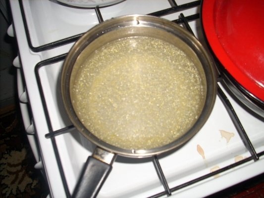 FICATEI DE PUI CU MAMALIGUTA SI SMANTANA