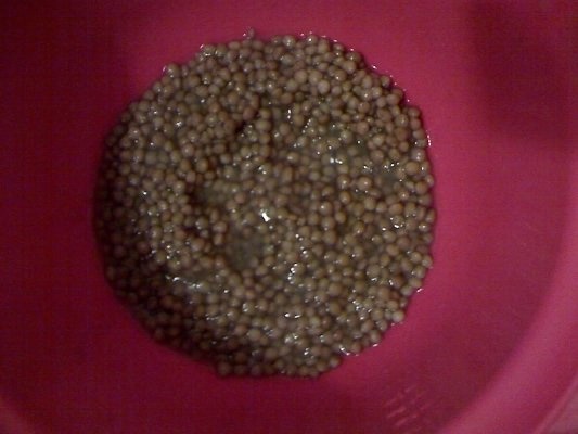 Salata de linte cu usturoi