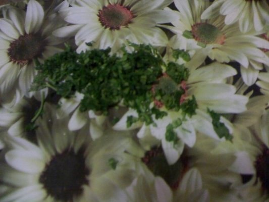 Salata de linte cu usturoi