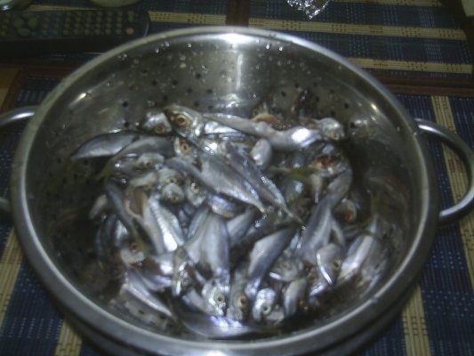 STAVRIZI  LA  CUPTOR