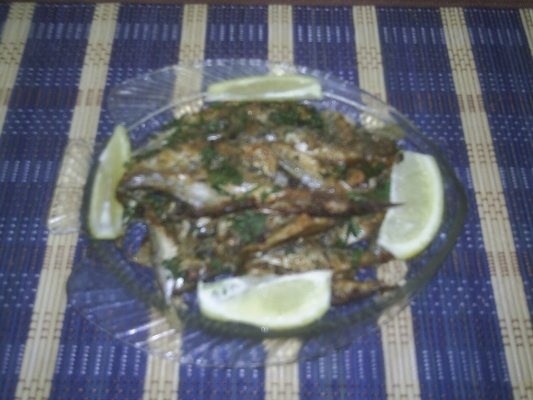 STAVRIZI  LA  CUPTOR