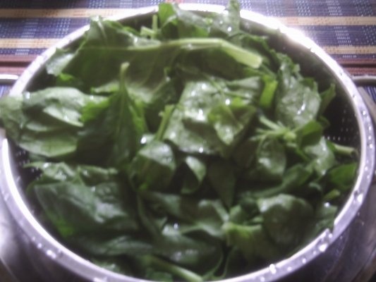 SALATA DE SPANAC