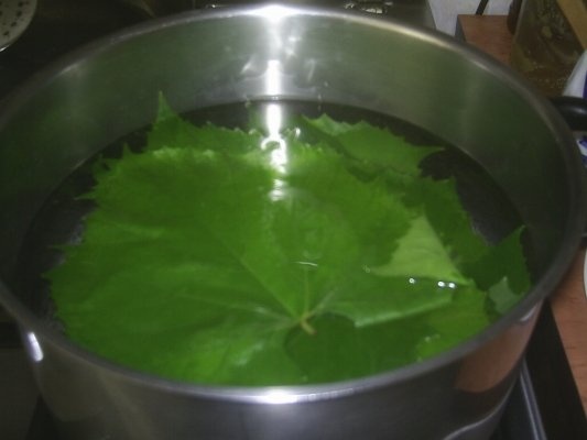 DIN CATEGORIA LEGUME CONGELATE DUPA FIERBERE-FRUNZE DE VITA DE VIE