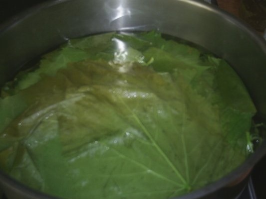 DIN CATEGORIA LEGUME CONGELATE DUPA FIERBERE-FRUNZE DE VITA DE VIE