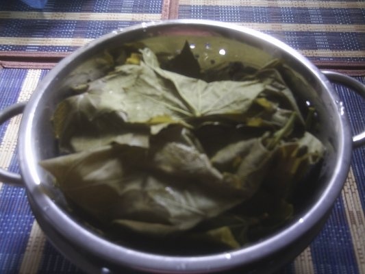 DIN CATEGORIA LEGUME CONGELATE DUPA FIERBERE-FRUNZE DE VITA DE VIE