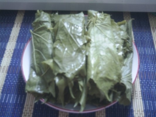 DIN CATEGORIA LEGUME CONGELATE DUPA FIERBERE-FRUNZE DE VITA DE VIE