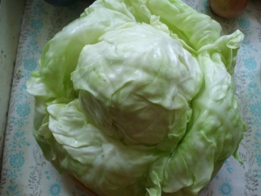 Sarmalute de curcan in cuib de varza dulce