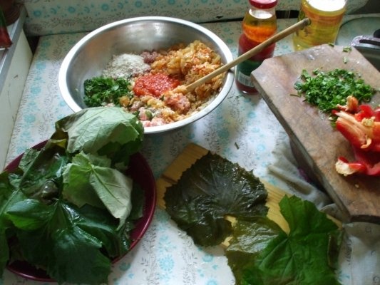 Sarmalute de manzat in frunze diferite