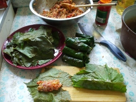 Sarmalute de manzat in frunze diferite