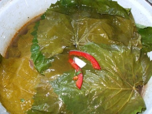 Sarmalute de manzat in frunze diferite