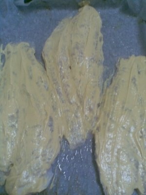 FILE DE PANGASIUS CU CRUSTA DE MUSTAR