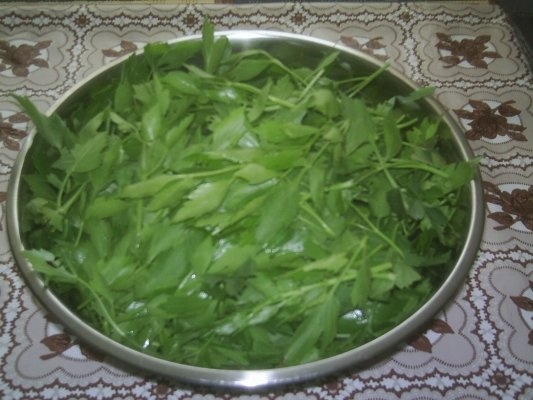 DIN CATEGORIA CONDIMENTE VERZI CONGELATE - LEUSTEAN VERDE