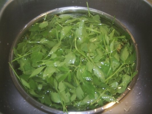 DIN CATEGORIA CONDIMENTE VERZI CONGELATE - LEUSTEAN VERDE