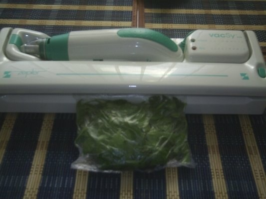 DIN CATEGORIA CONDIMENTE VERZI CONGELATE - LEUSTEAN VERDE