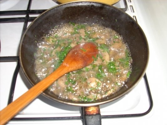 CROCHETE CU CIUPERCI