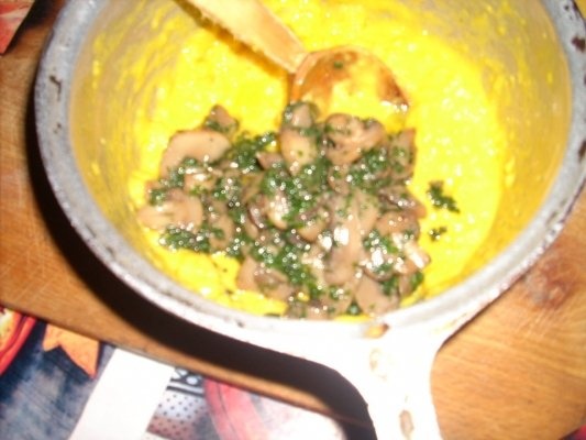 CROCHETE CU CIUPERCI