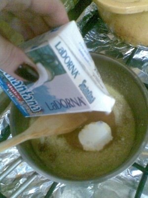 TARTA CU MERE SI MANGO