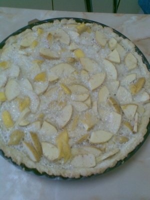 TARTA CU MERE SI MANGO
